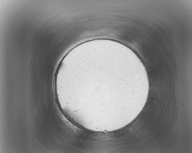 X0000066531516200604141826