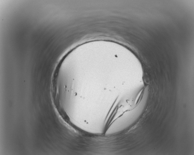 X0000066531518200604141826