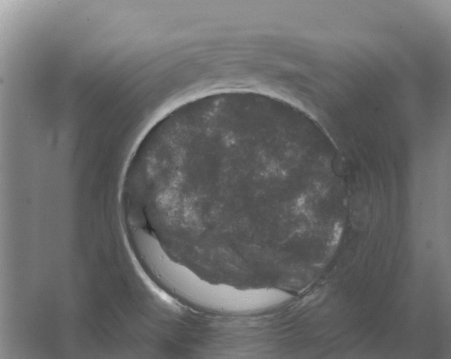 X0000066531519200604141826