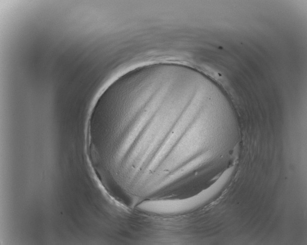 X0000066531520200604141826