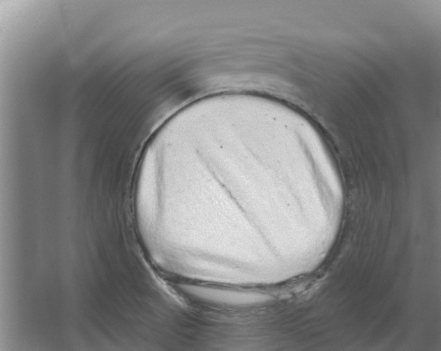 X0000066531521200604141826