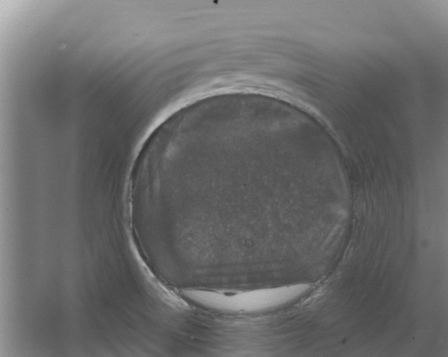 X0000066531522200604141826