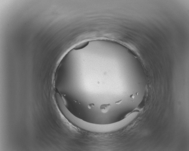 X0000066531524200604141826