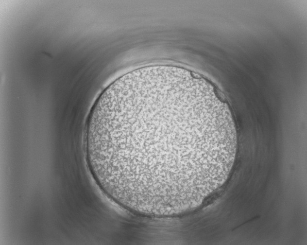 X0000066531526200604141826