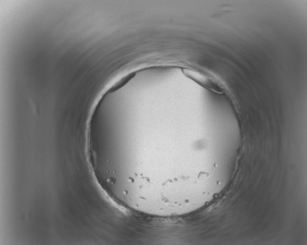 X0000066531528200604141826