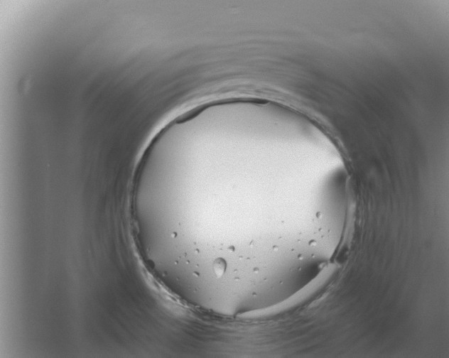 X0000066531530200604141826