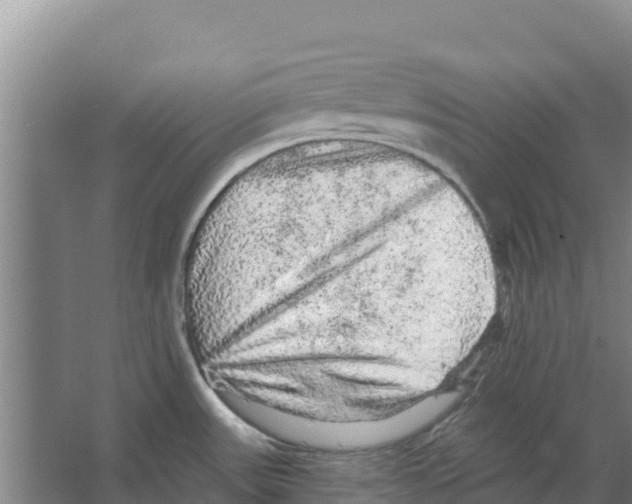 X0000066531531200604141827