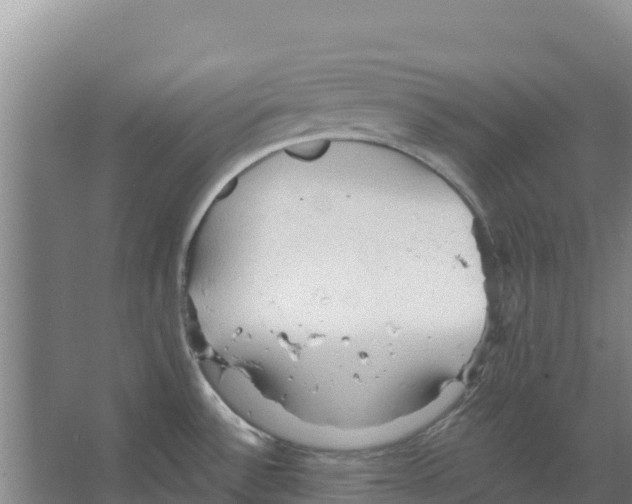 X0000066531532200604141827