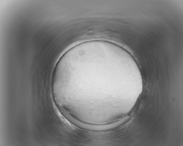 X0000066531534200604141827