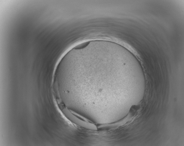 X0000066531536200604141827