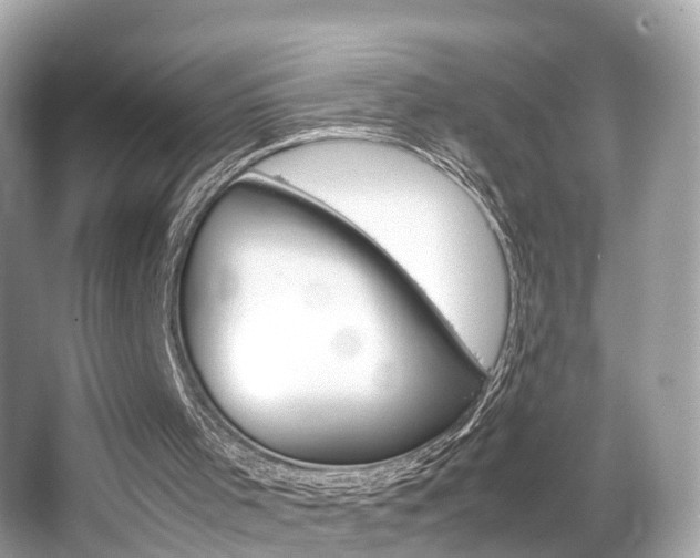 X0000066540001200603171107