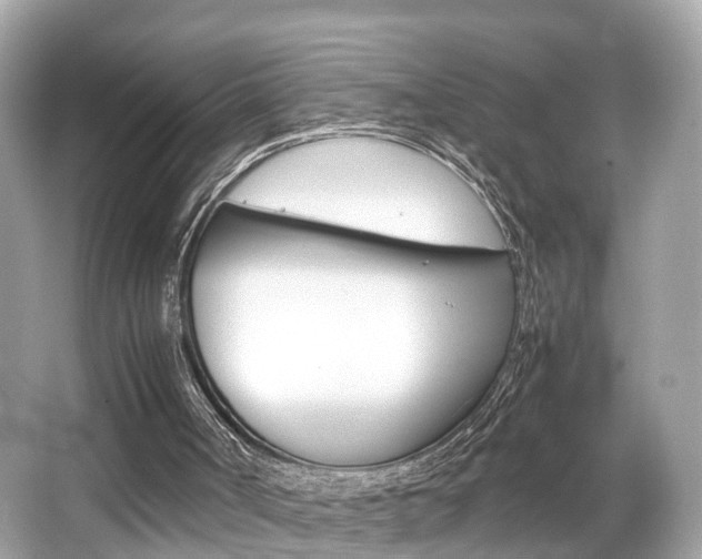 X0000066540002200603171107