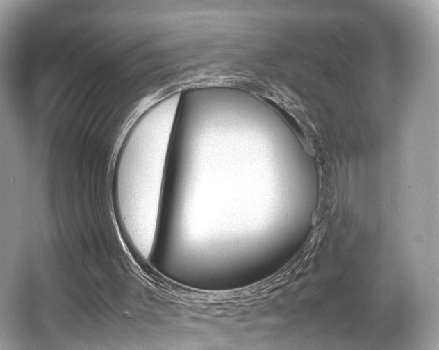 X0000066540003200603171107