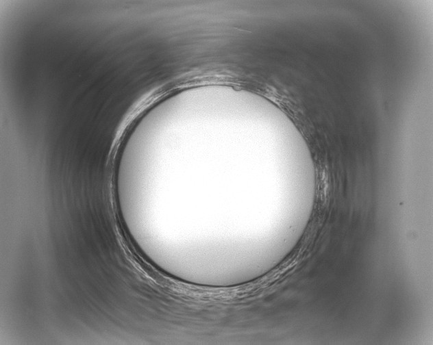 X0000066540004200603171107