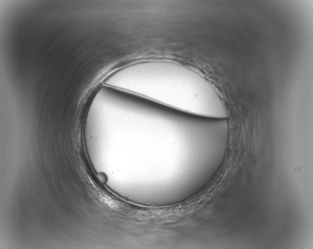 X0000066540005200603171107