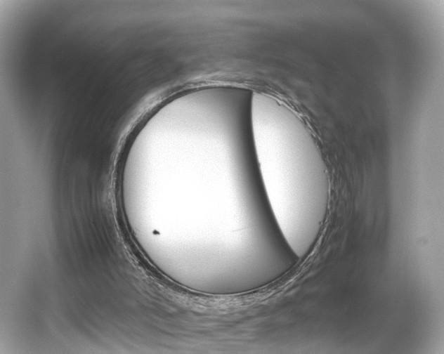 X0000066540006200603171107