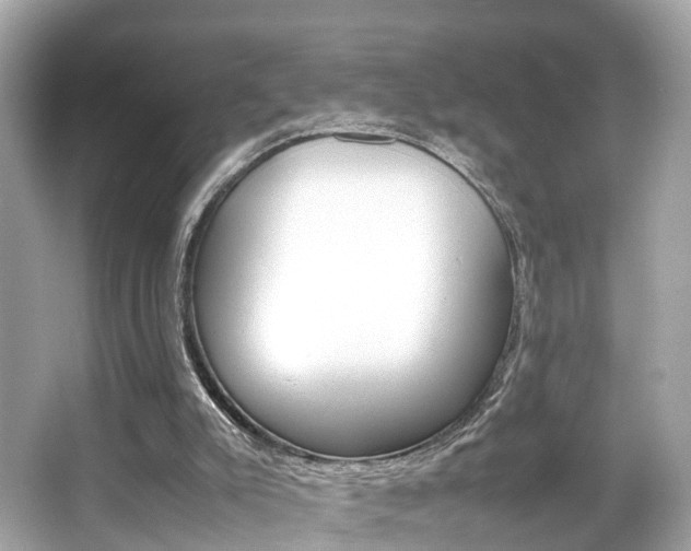 X0000066540007200603171107