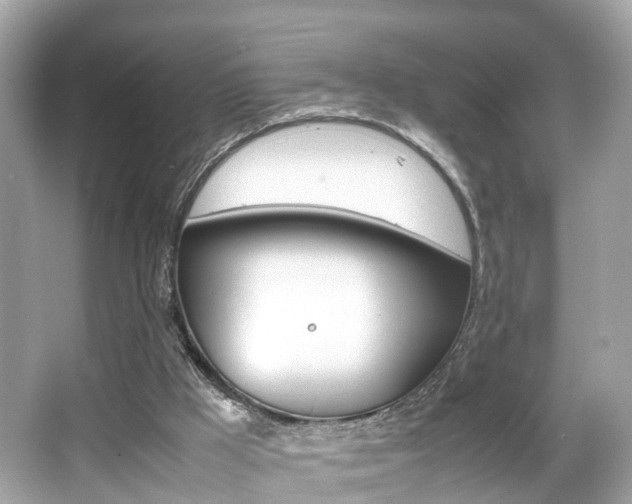 X0000066540009200603171107