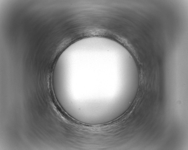 X0000066540010200603171107