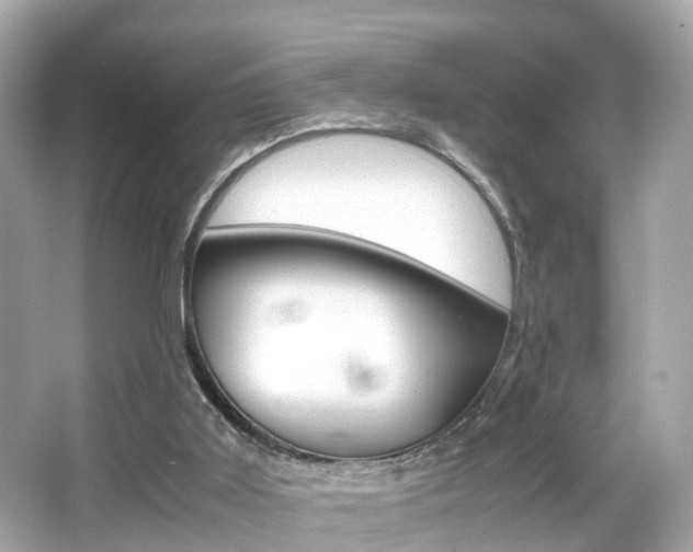 X0000066540011200603171107