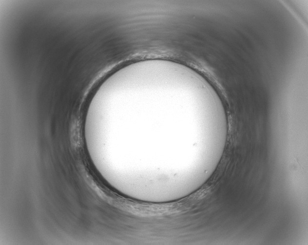 X0000066540012200603171107