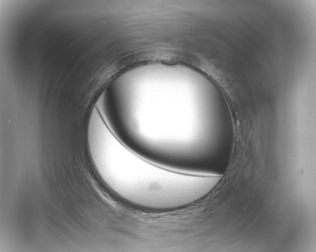 X0000066540013200603171107