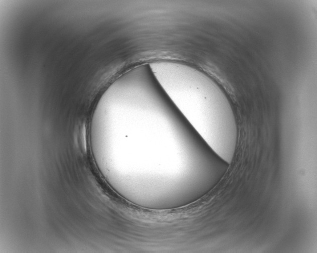 X0000066540014200603171107