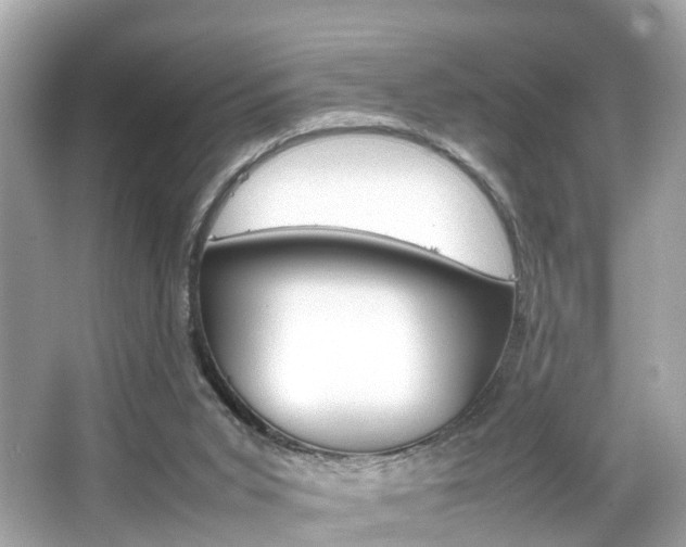 X0000066540015200603171107