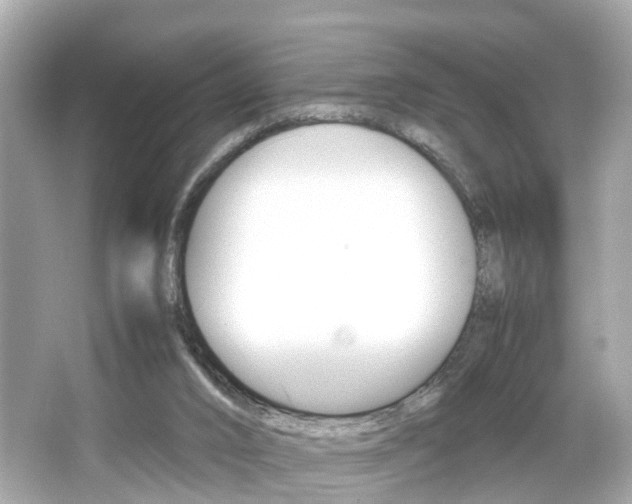 X0000066540016200603171107