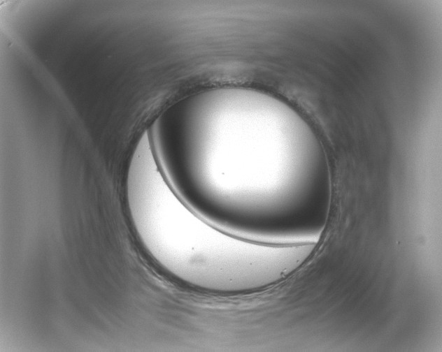 X0000066540017200603171107