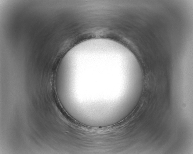 X0000066540018200603171107