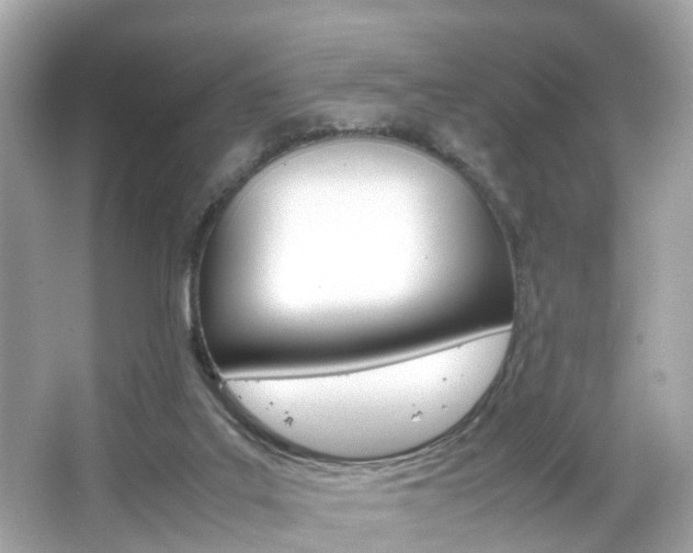 X0000066540019200603171107