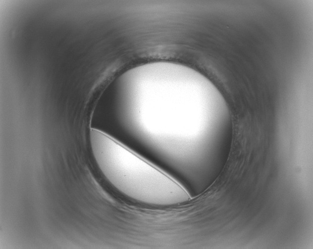 X0000066540020200603171107