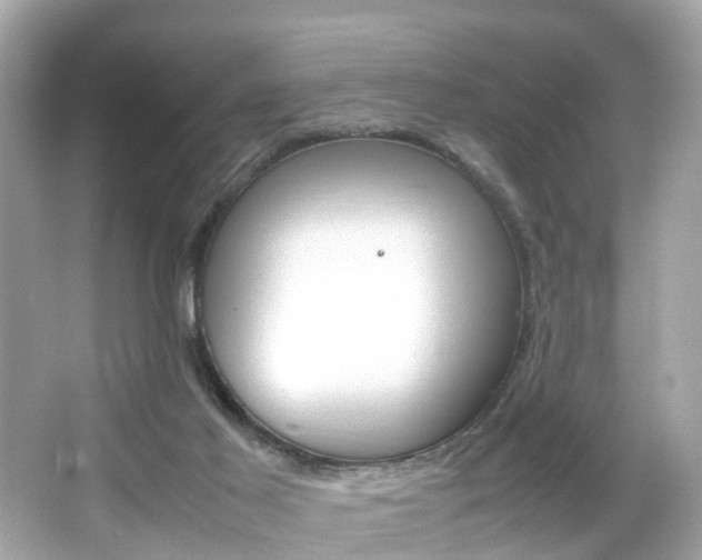 X0000066540021200603171107