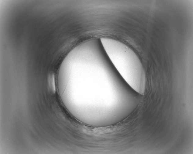 X0000066540022200603171107