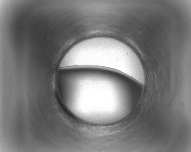 X0000066540023200603171107