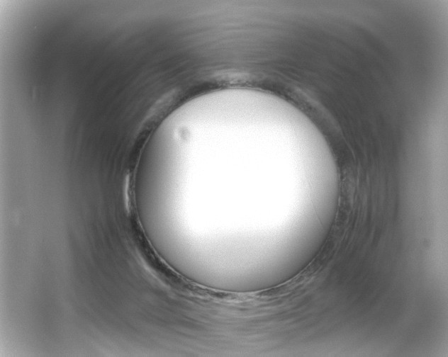 X0000066540024200603171107