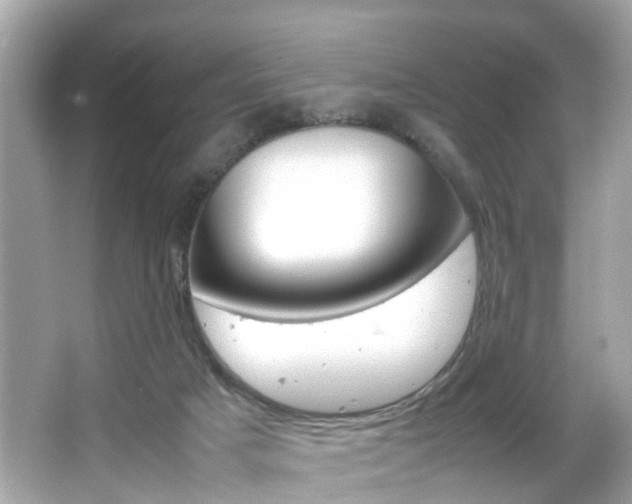 X0000066540025200603171107