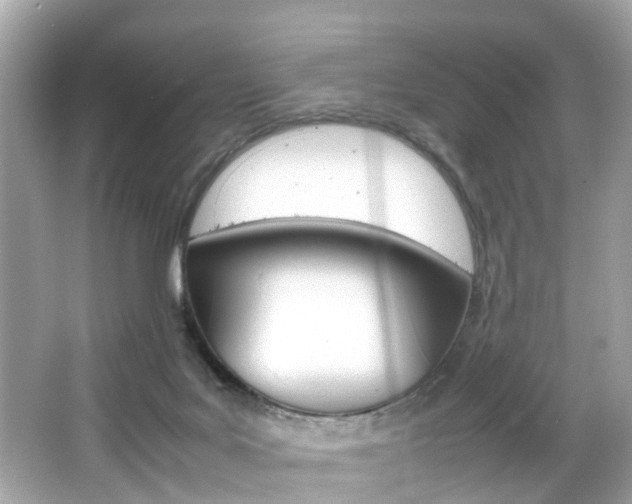 X0000066540027200603171107