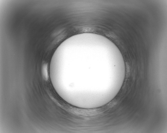 X0000066540028200603171107