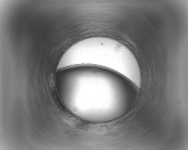 X0000066540029200603171107