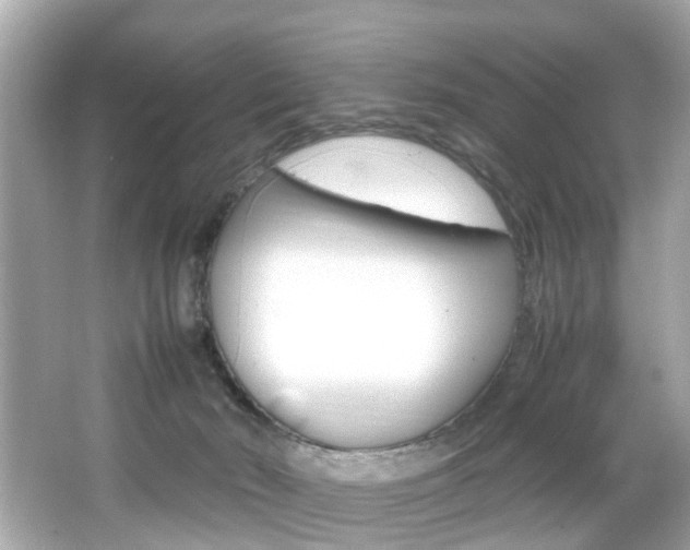 X0000066540030200603171107