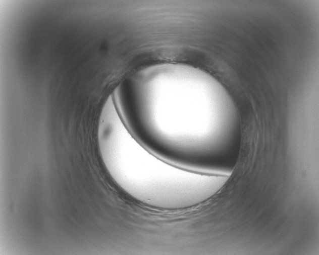 X0000066540031200603171107