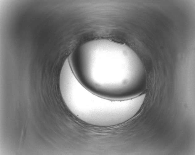 X0000066540033200603171107