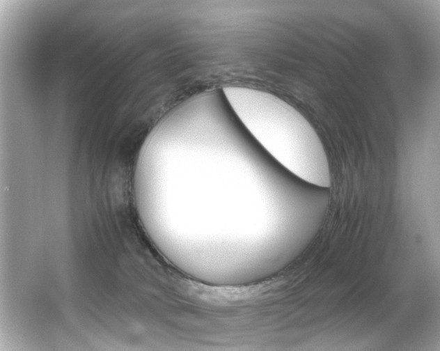 X0000066540034200603171107