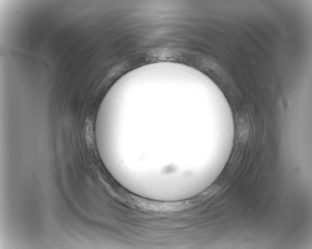 X0000066540036200603171107