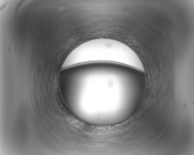 X0000066540037200603171107