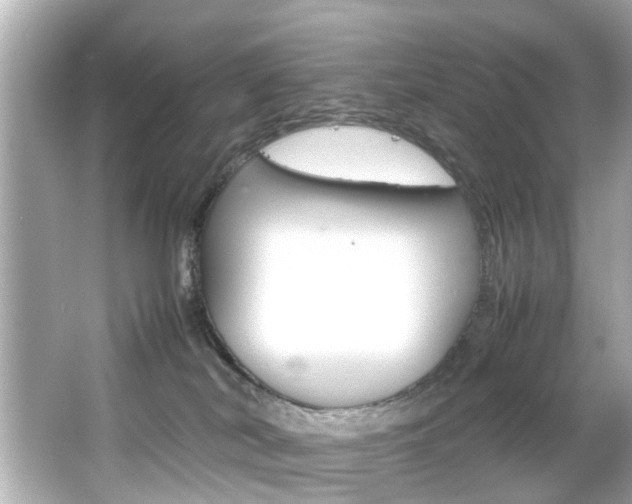 X0000066540038200603171107