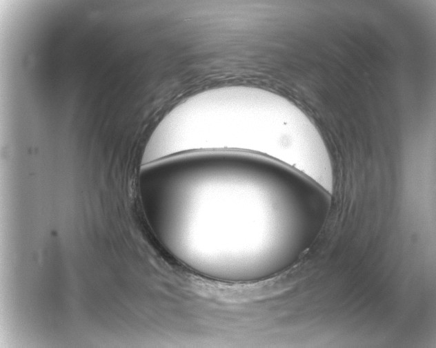 X0000066540039200603171107