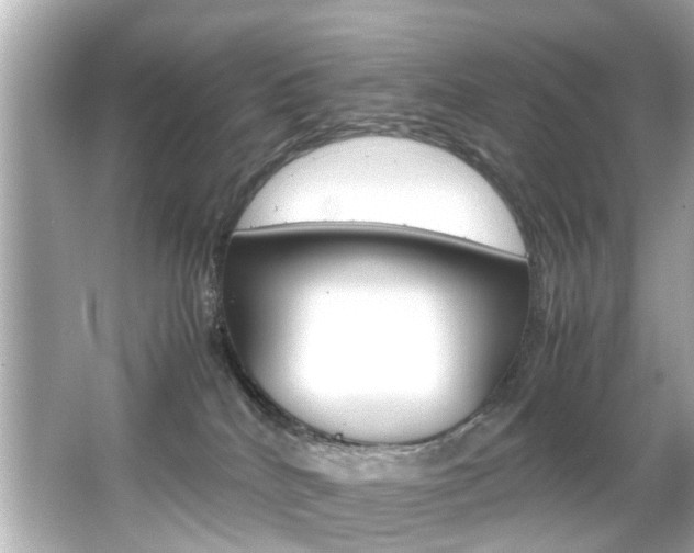 X0000066540040200603171107